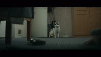 - -Quiet. You're getting fat. - A Quiet Place: Day One