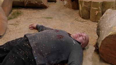 QUINN:
Four dead. Chainsaws. - Hawaii Five-O