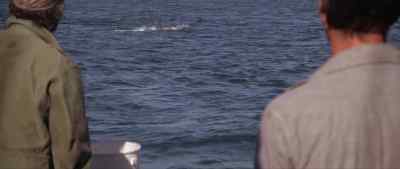 QUINT:
Shut off that engine. - Jaws