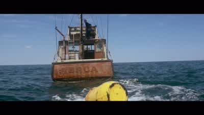 Quint, there it is. - Jaws