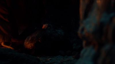 Quintus. - The Strain