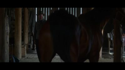 Quit it. - The Power of the Dog