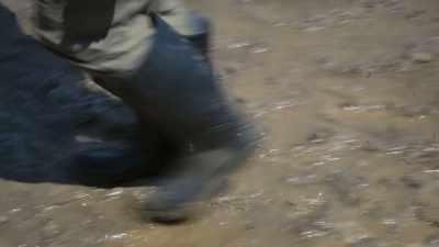 Quite a challenge
for the cameraman, Mark Lamble. - Attenborough's Life in Colour