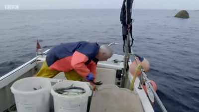 Quite happy with that little shop. - Cornwall: This Fishing Life