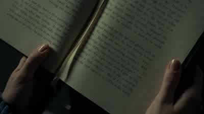 "Dear, dear! - Westworld
