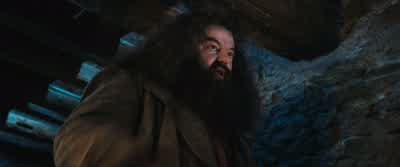 "Dear Mr. - Harry Potter and the Philosopher's Stone