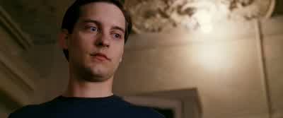 "Go get them, tiger"? - Spider Man 3