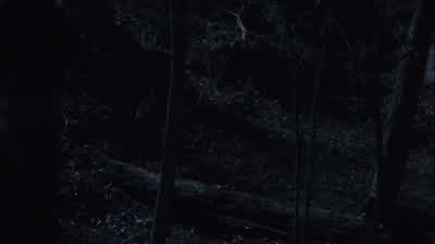 "Previously on Teen Wolf"... - Teen Wolf