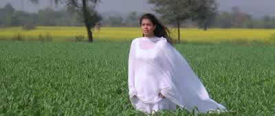 "what madness love is" - Dilwale Dulhania Le Jayenge