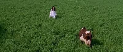 "When I saw you, I realised..." - Dilwale Dulhania Le Jayenge