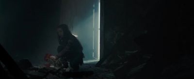 R fly, bird r - Don't Breathe 2