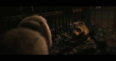 RABBIT: Mask, eyes,
face, mouth, - Guardians of the Galaxy Vol. 3