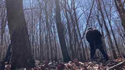 ♪ Rabbits in the cornfield,
eaten all my grass ♪ - Project Eerie
