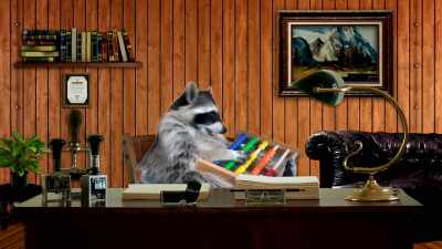 [ Raccoon chatters ] - At Home with Amy Sedaris
