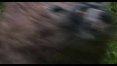 -[raccoon growls]
-[foreboding music] - Crackcoon