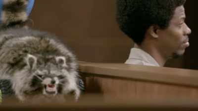 Raccoon will come back to me - Gary Busey: Pet Judge
