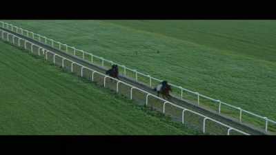 Racehorses will weigh
about half a ton, - Horsepower