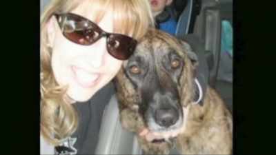Rachel chambers of morgan hill - Pet Fooled