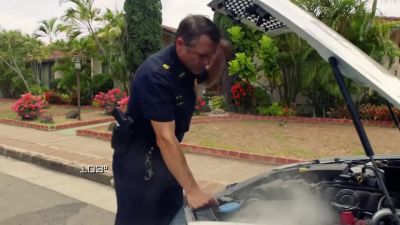 Radiator's fried. - Hawaii Five-0