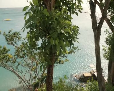 RADIO: Please report current
situation. Can you confirm ETA? Over. - Death in Paradise