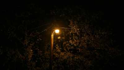 [radio tuning] - Dreamland: The Burning of Black Wall Street