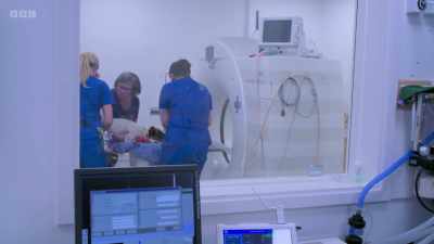 Radiographer Jo used to oversee
humans, - 24/7 Pet Hospital