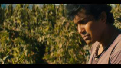 Rafa, you have a call. - Narcos: Mexico
