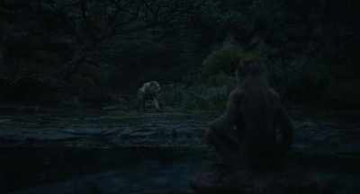- Rafiki.
-  Ayi suka. - Mufasa: The Lion King