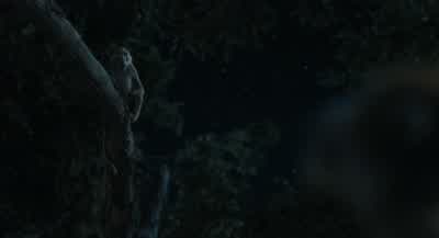 RafikiOrder We will have order in the Congress of BaboonsTonight a cheetah came into our treesfor the third night in a rowAlmost took one of our ownIt was Rafiki's faultHe summoned the beast with his dreamsRafiki and his visionsmust be banished once and - Mufasa: The Lion King