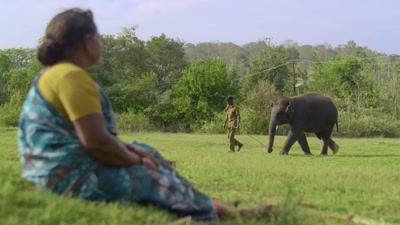 Raghu hesitated a lot
while being taken away. - The Elephant Whisperers