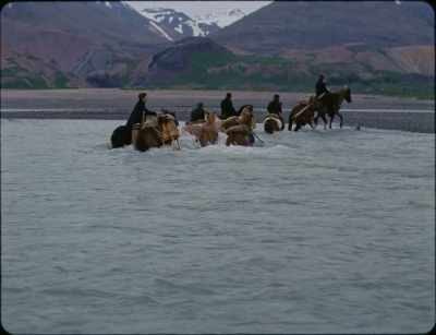 Ragnar! Ragnar! No! - Godland