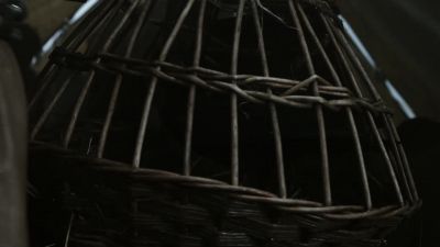 Ragnar: Release the ravens. - Vikings