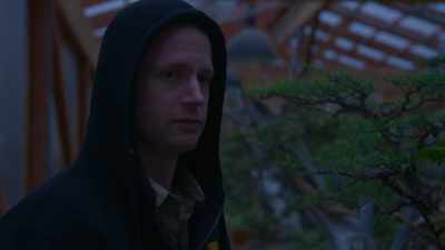 (rain continues) - Trees and Other Entanglements