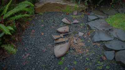 (rain continues) - Trees and Other Entanglements