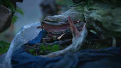 (rain falling) - Trees and Other Entanglements
