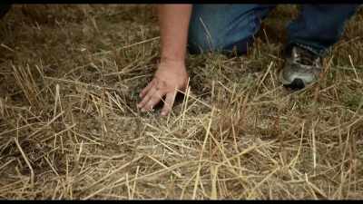 Rain falls on bare soil,
it's going to run off, - Kiss the Ground
