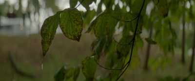 [RAIN PATTERING] - Last Night on Earth