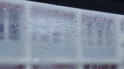 [rain pattering] - Try Harder!
