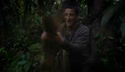 [ RAIN PATTERING ] - Man vs. Wild