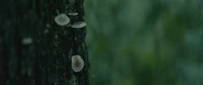 -[rain pattering]
-[soft piano music] - Alone Together