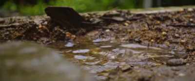(rain spattering) - The Last Tourist