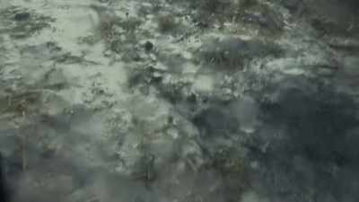 [ Rain striking ] - Attenborough and the Sea Dragon
