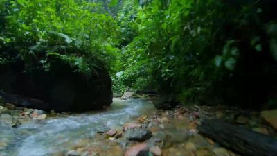 Rainfall in the Andes transforms life - Hostile Planet