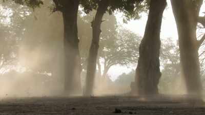 Rainfall is increasingly unpredictable. - Seven Worlds, One Planet