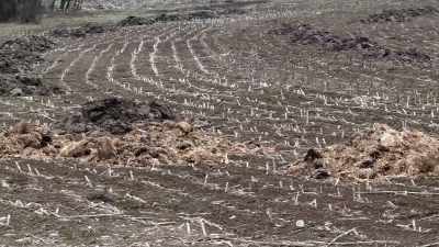 [Ralf]
You spread the sewage sludge - Plastic Earth