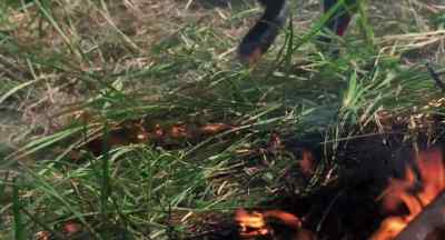 RALPH: Jesus, it's spreading!
Put it out. Stomp on it. - Lord of the Flies