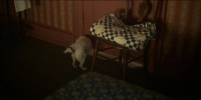 [rapid scratching] - Fargo