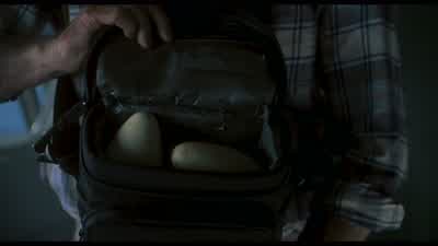 Raptor eggs. - Jurassic Park III