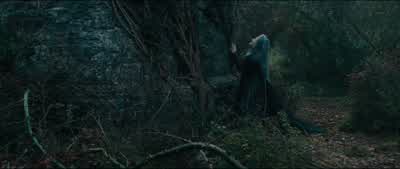 Rapunzel! - Into the Woods