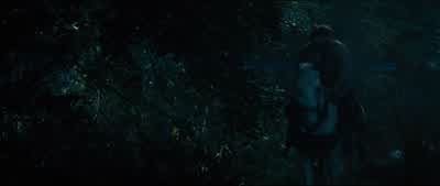 Rapunzel? - Into the Woods